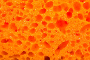 texture of a kitchen sponge close-up