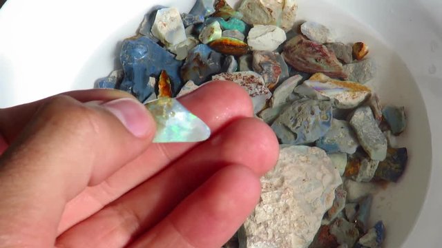 Miner Inspecting Small Rocks for Rough Opal Content