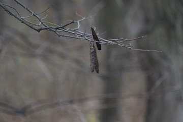 Ukrain, Dnepr, Park Gagarina