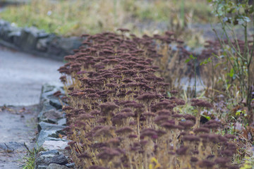 Ukrain, Dnepr, Park Gagarina