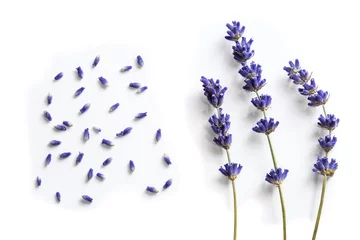 Keuken spatwand met foto Lavender flowers isolated on white © altmis
