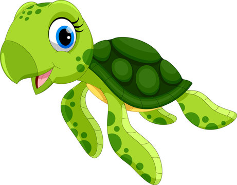Vector illustration of cute turtle cartoon isolated on white background