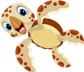 Vector illustration of cute turtle cartoon isolated on white background