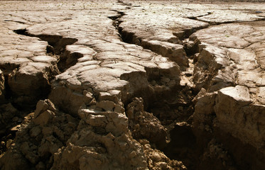 Cracked earth close-up