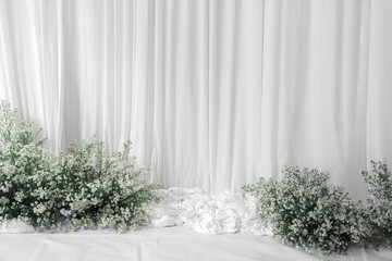 white curtains with daisy flower