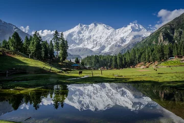 Peel and stick wall murals Nanga Parbat View of mighty Nanga Parbat Mountain (8,126 meters) Pakistan, also known as the Killer Mountain is one among the 14 eight-thousanders.