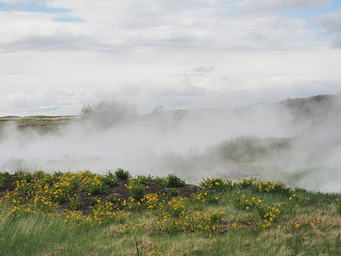 Deildartunguhver - Einheit hei&szlig;er Quellen im Reykholtsdalur
