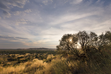 Obraz premium Landscape photo of a dry bushes at sunset with blue sky and clouds