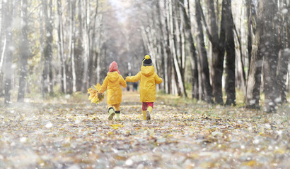 Toddlers on a walk in the autumn park. First frost and the first