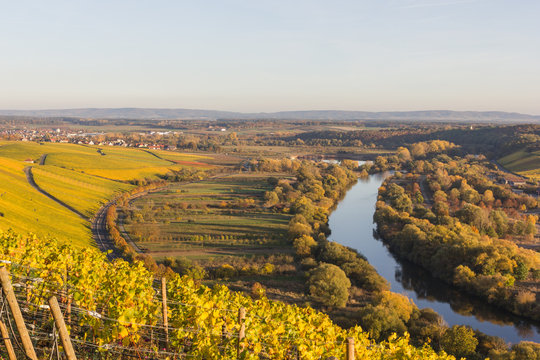 Blick auf die Mainschleife