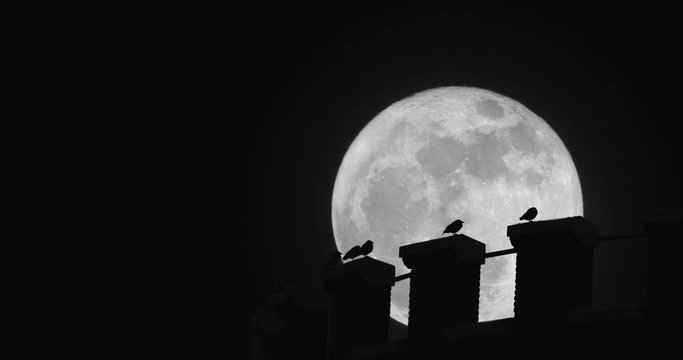 Birds on the edge of a water tower under a super moon. Highly cinematic shot suitable for establishing many different kinds of residential areas at night.