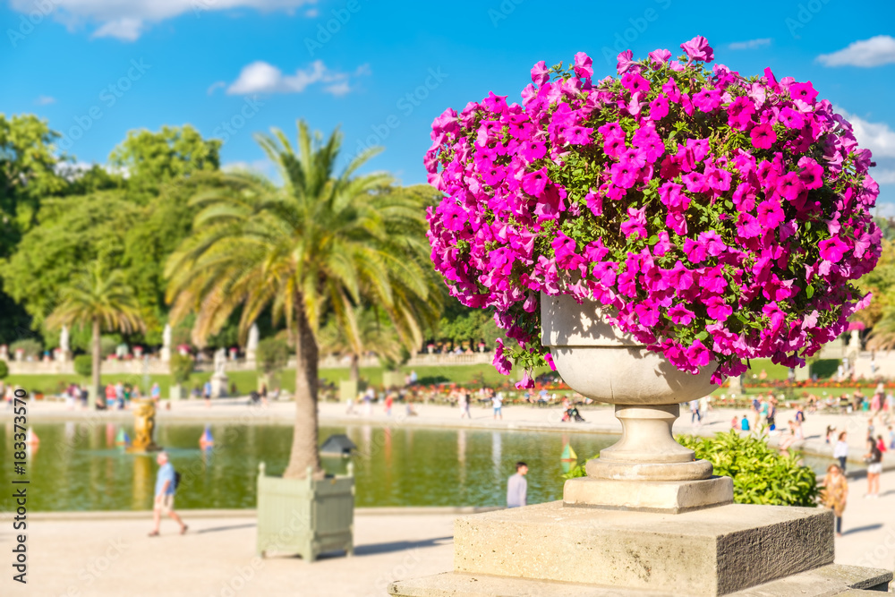 Canvas Prints the luxembourg garden in paris