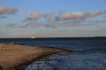 Angeln auf Meerforelle an der Ostsee, Angelführer, Angelguide 