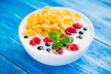 tasty breakfast with cereals and yoghurt raspberry