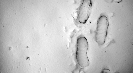 Footprints in the snow. Footprints on the first snow. Imprint an