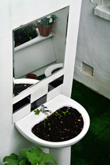 garden created by recycling bathroom sanitary ware