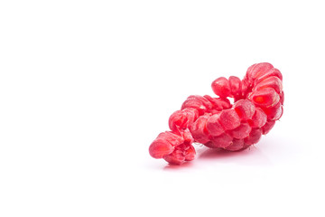 fresh red raspberry isolated