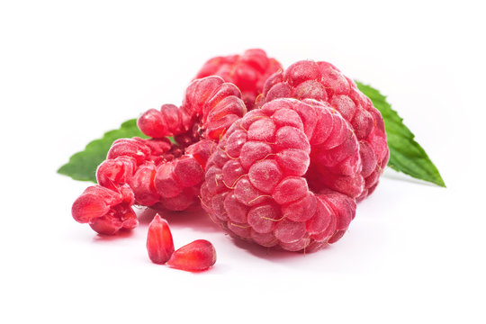 Red ripe raspberry berry with seed