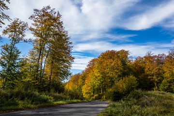 Obraz premium Road near lake Solinskie in autumn in Solina, Bieszczady, Poland