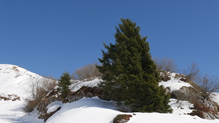 Piani di Artavaggio panorama invernale
