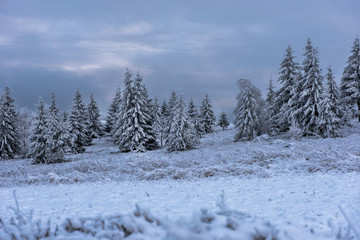 Beautiful winter landscape with snow covered trees