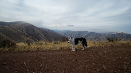 Exploring the Pacific Northwest, Washington State