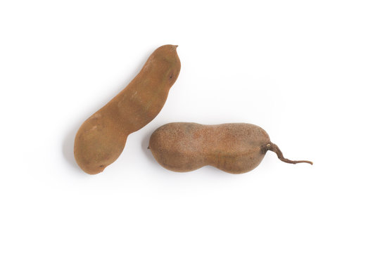Tamarindus indica. Tamarind