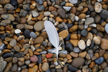 feather on stones