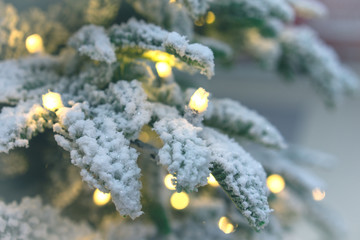 Closeup of Christmas-tree background