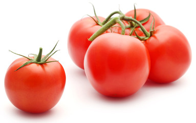 Fresh organic tomato