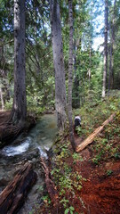 Exploring the Pacific Northwest, Washington State
