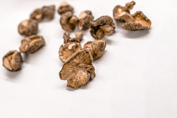 Dry Mushrooms isolated on white background.