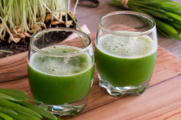 Two glasses of barley grass juice with fresh barley grass in the background