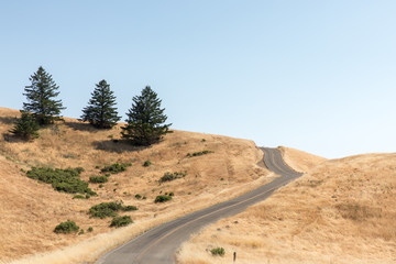 Winding road through grassland on Mount Tamalpais in California