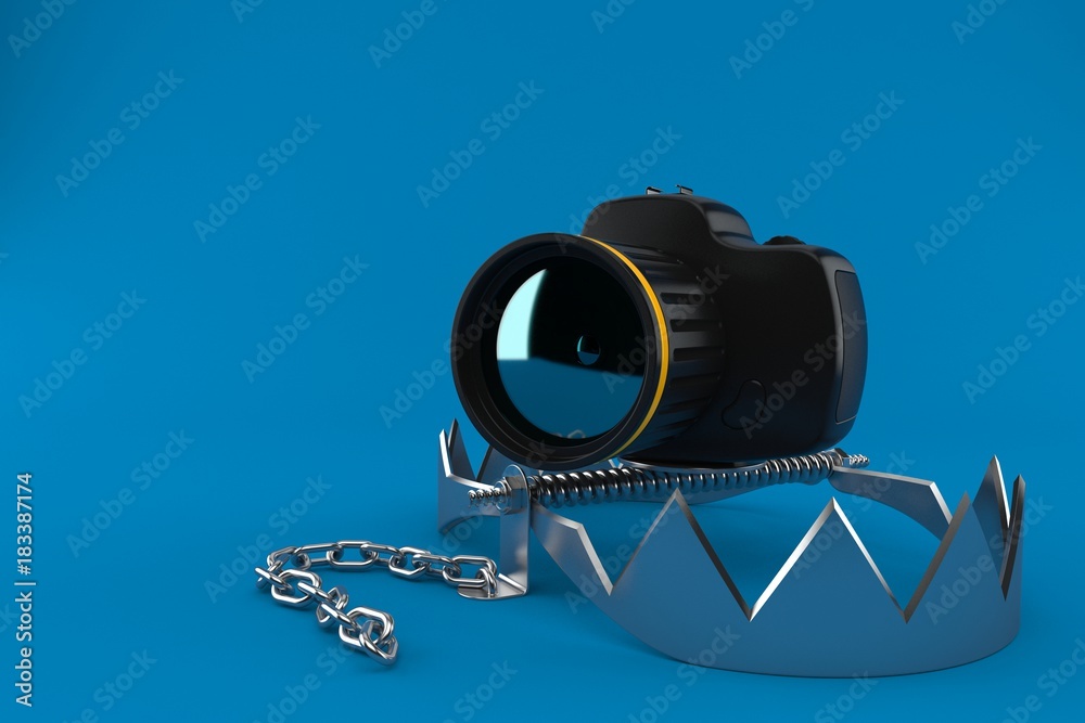 Wall mural camera with bear trap