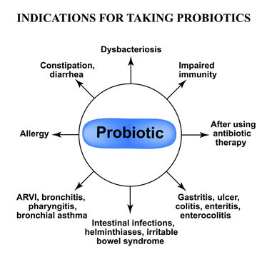 Indications For Taking Probiotics. Infographics. Vector Illustration On Isolated Background