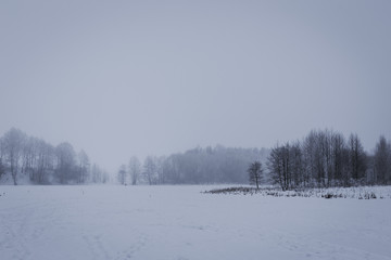 Obraz na płótnie Canvas Winter landscape with trees