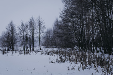 Winter landscape with trees