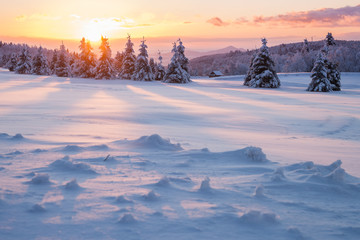 Goldener Sonnenaufgang im Winter