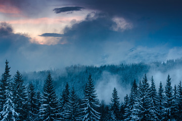 Fototapeta na wymiar Landscape of dramatic sunset in the winter mountain. Wooded hills covered with snow, fog rising from valleys, colorful cloudy sky - this is impressive picture. 