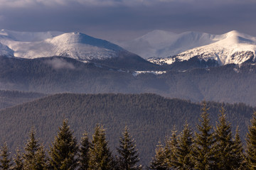 Foggy winter landscape in the mountains.Picturesque and gorgeous wintry scene. View of forest hills...