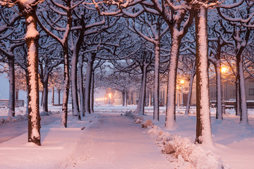 Dresden im Schnee am Morgen