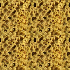 Seamless photo texture of yellow sponge