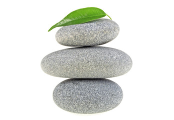 Fototapeta premium Green leaf with spa stones, isolated on white background