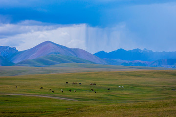 Storm in the mountains of Song Kul