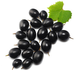 blue grapes berries with leaves isolated on white. top view