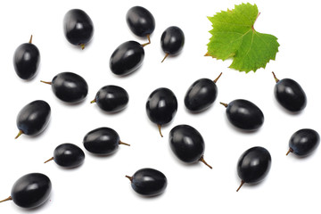 blue grapes berries with leaves isolated on white. top view