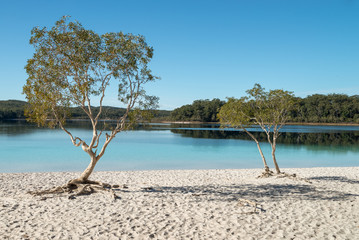 Lake McKenzie