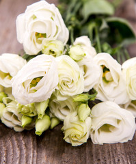 White roses on a wooden background