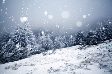 Trees covered with hoarfrost and snow in winter mountains - Christmas snowy backgroundic holiday background